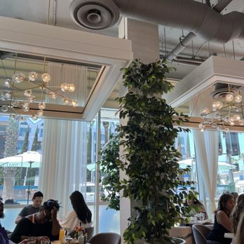 Sweet Maple - Breakfast & Brunch Near Me - Santa Monica, California Sweet Maple - Breakfast & Brunch Near Me - Santa Monica, California