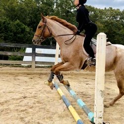 The Equestrian Reserve