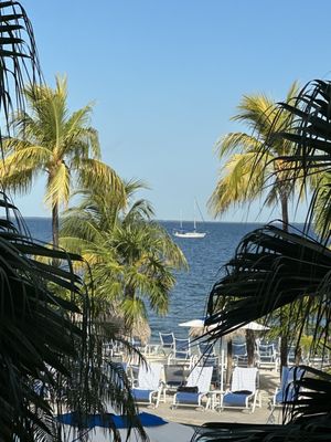 Reefhouse Resort & Marina by null