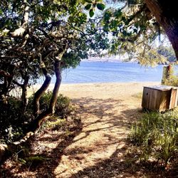 Tomales Bay State Park - From the forest to Pebnle Beach.