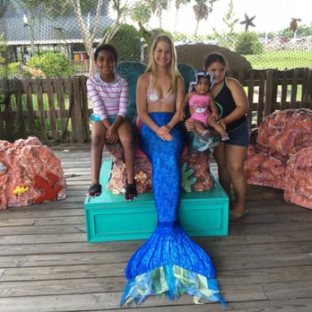 Weeki Wachee Springs - Mermaid - Amusement Parks Near Me - Spring Hill, Florida Weeki Wachee Springs - Mermaid - Amusement Parks Near Me - Spring Hill, Florida