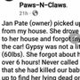 Paws and Claws