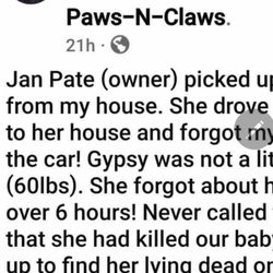 Paws and Claws