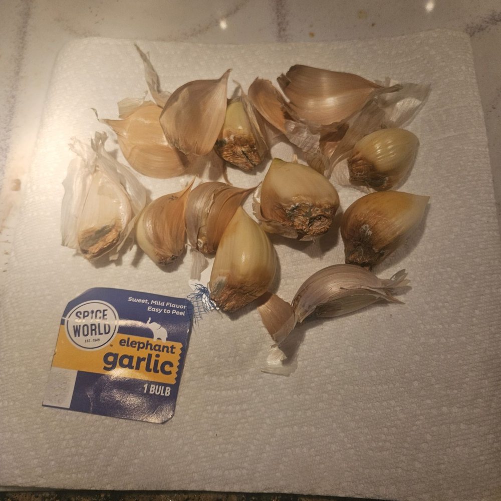 Publix Super Markets - Moldy garlic that I got from this publix. - Grocery Near Me - Lutz, Florida Publix Super Markets - Moldy garlic that I got from this publix. - Grocery Near Me - Lutz, Florida