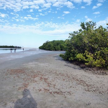 Tigertail Beach - Beaches Near Me - Marco Island, Florida