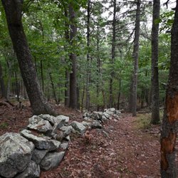 Moose Hill Wildlife Sanctuary