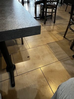 Chutney Restaurant by null