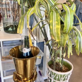 Stitch And Feather - Champagne as you shop. - Women's Clothing Near Me - Fullerton, California Stitch And Feather - Champagne as you shop. - Women's Clothing Near Me - Fullerton, California