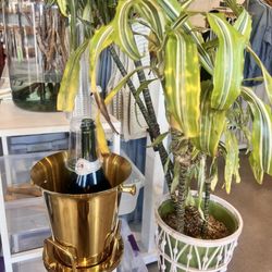 Stitch And Feather - Champagne as you shop.