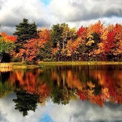 Skyline RV & Camping Resort - Fall Foliage at Skyline!