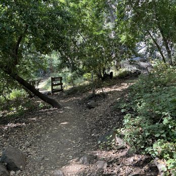 Bishop Peak - The one and only shaded area of the trail. Maybe 1/4 of a mile has tree coverage. - Hiking Near Me - San Luis Obispo, California