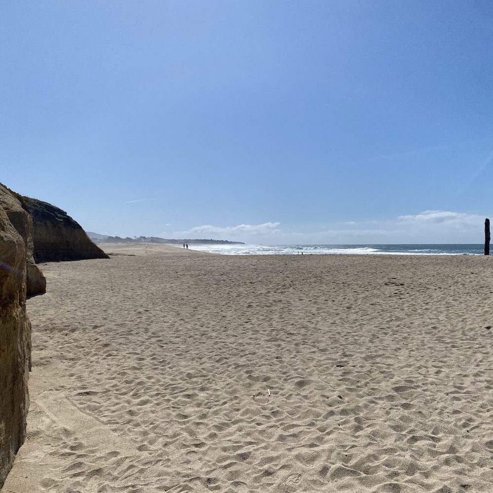 Venice Beach San Francisco Bay Area, CA - Last Updated August 2025 - Yelp