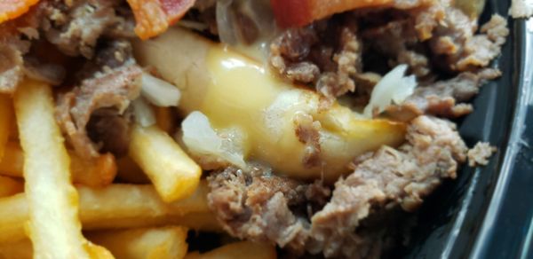 The Slow Buffalo by null