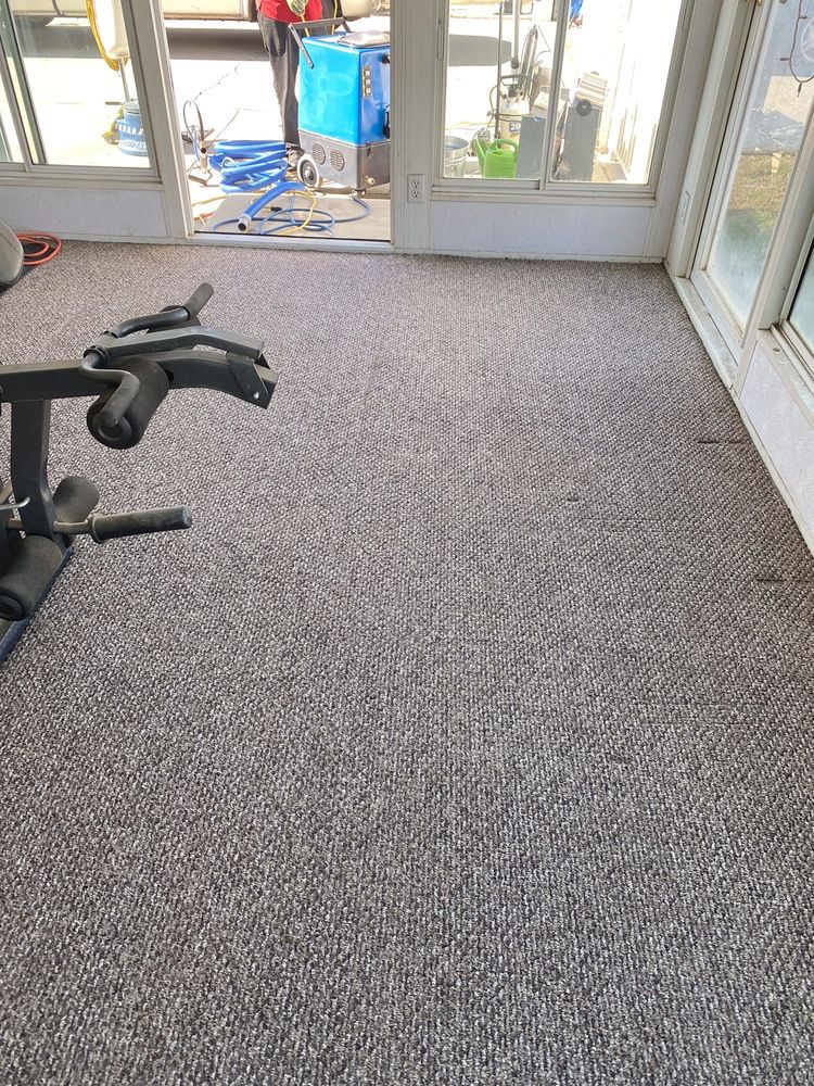 AL’S AFFORDABLE CARPET CLEANING Updated July 2024 34 Photos & 36