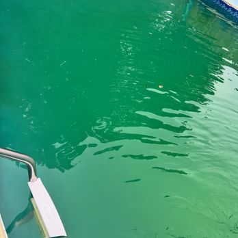 Carmona Pool Services - Swimming Pools Near Me - Manahawkin, New Jersey