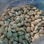 Photo of Fiambrería y otros