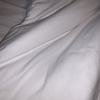 The Apple Tree Inn - more hairs on bed - Hotels Near Me - Julian, California