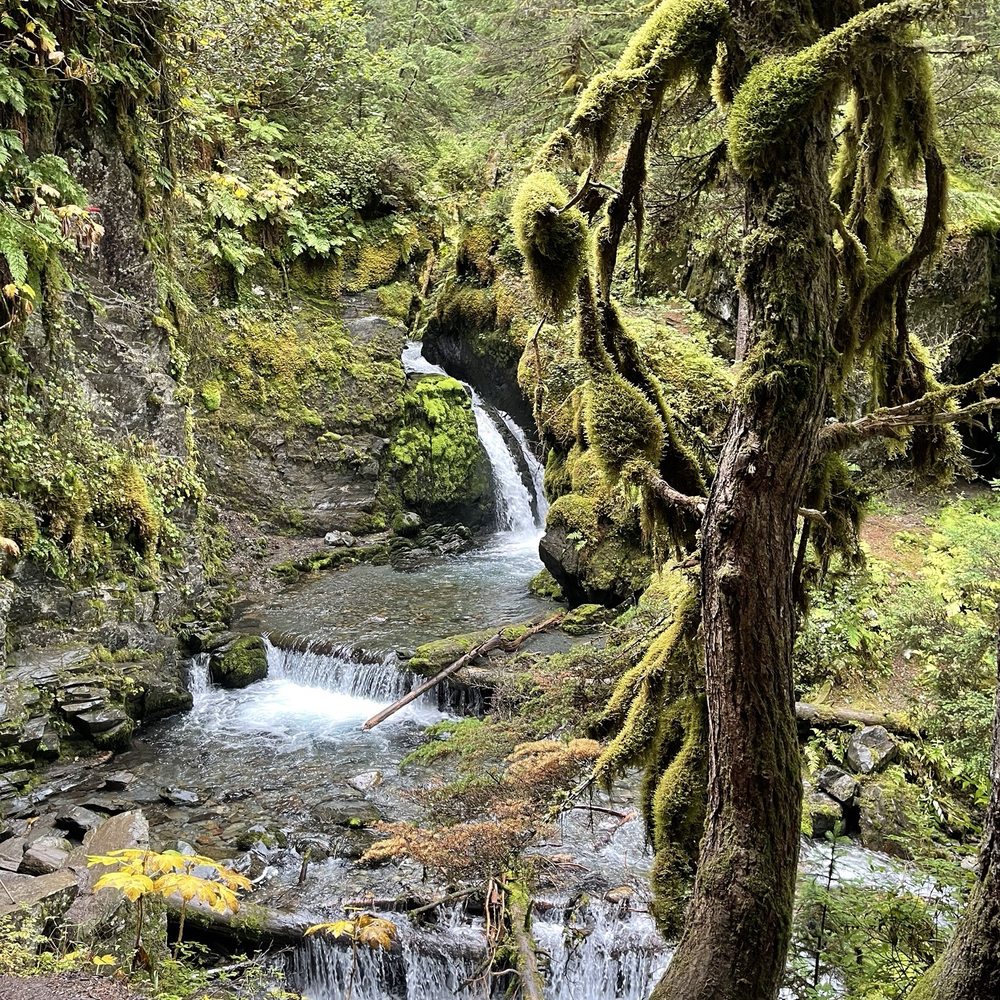 Virgin Creek Falls - Hiking Near Me - Anchorage, Alaska Virgin Creek Falls - Hiking Near Me - Anchorage, Alaska