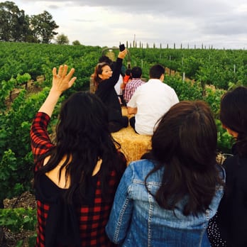 Doce Robles Winery & Vineyard - Cheers! - Wineries Near Me - Paso Robles, California Doce Robles Winery & Vineyard - Cheers! - Wineries Near Me - Paso Robles, California