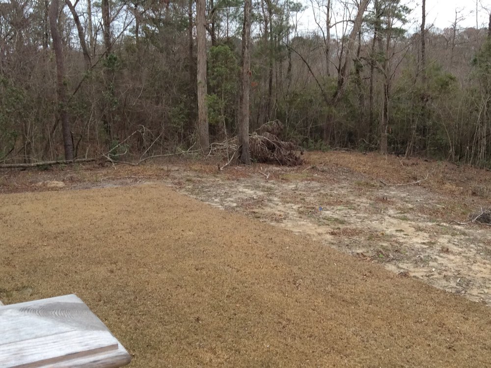 TIDEWATER LANDSCAPING & IRRIGATION Updated August 2024 570