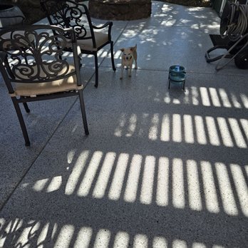 Timeless Epoxy Systems - Flooring Near Me - Folsom, California