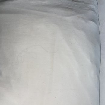 Comfort Inn & Suites Midway - Tallahassee West - This is Inside the Pillow! - Hotels Near Me - Midway, Florida Comfort Inn & Suites Midway - Tallahassee West - This is Inside the Pillow! - Hotels Near Me - Midway, Florida