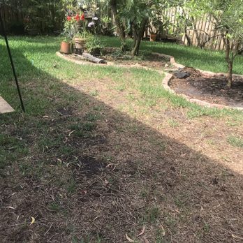 Guaranteed Pest Control & Fertilization - Dead Zone - Pest Control Near Me - Davie, Florida Guaranteed Pest Control & Fertilization - Dead Zone - Pest Control Near Me - Davie, Florida