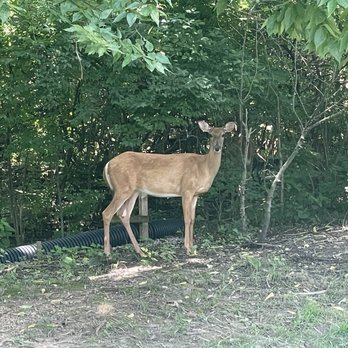 Miami Whitewater Forest - Parks Near Me - Harrison, Ohio