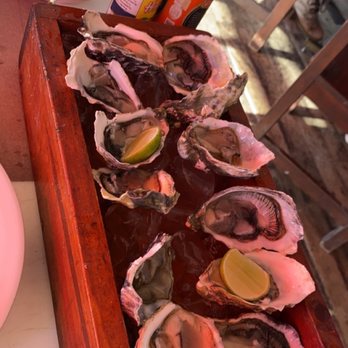 El Barracuda - Oyster - Seafood Near Me - Puerto Vallarta, JAL El Barracuda - Oyster - Seafood Near Me - Puerto Vallarta, JAL