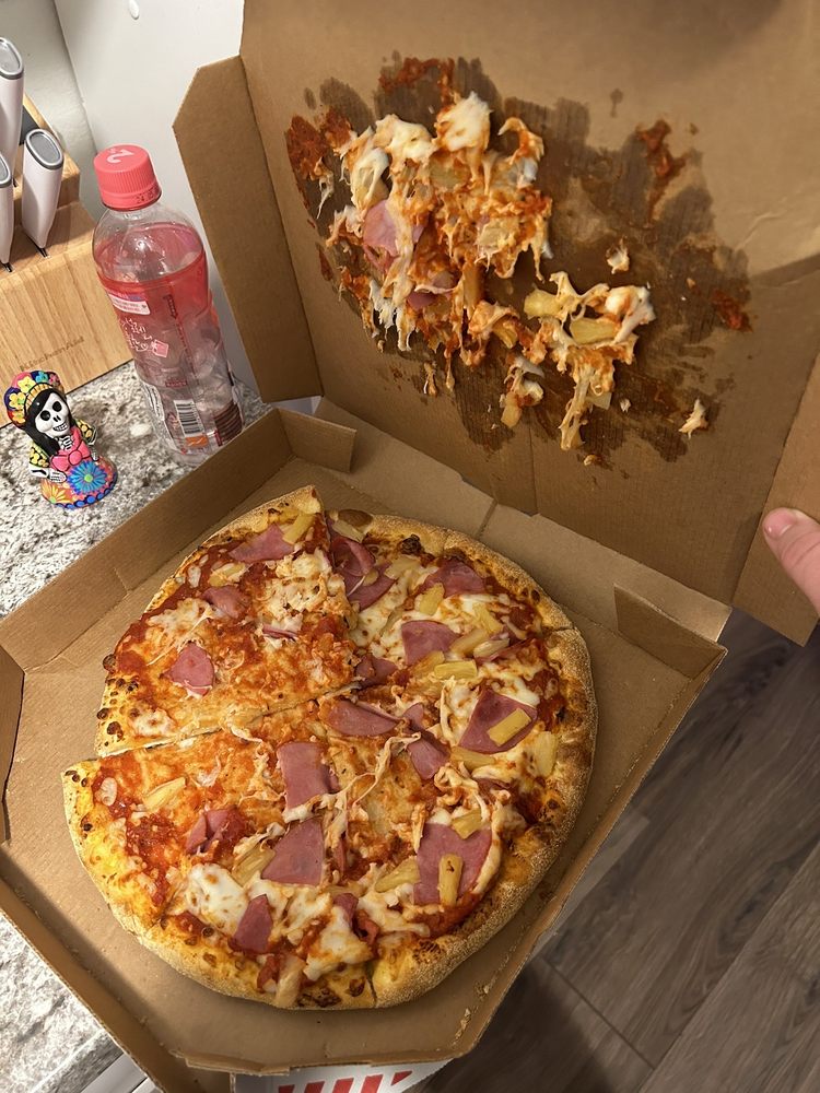 Domino's Pizza Logo