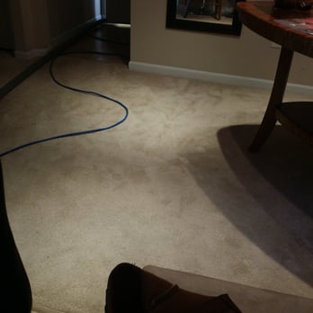 Honor Carpet Cleaning - Nothing heavily soiled about my carpet whatsoever. Just wanted a freshning up which was why i thought 20$ was enough. - Carpet Cleaning Near Me - Jacksonville, Florida