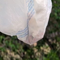 Creative Property Management - A bag that was in my apartment with baby mice. Disgusting. Clearly an infestation