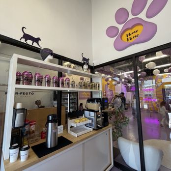 Purr-fecto Cat Lounge - The compact coffee and drink area in the lobby :) ! - Animal Shelters Near Me - Austin, Texas Purr-fecto Cat Lounge - The compact coffee and drink area in the lobby :) ! - Animal Shelters Near Me - Austin, Texas