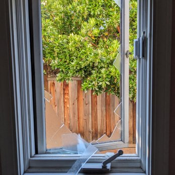 Bee Positive Dog Training - broken window, escaped dog - Pet Training Near Me