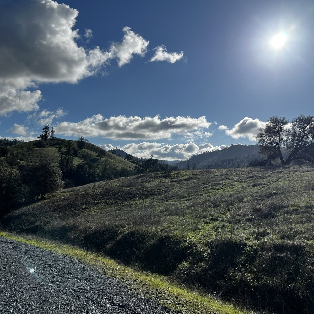 Page Parkes Center for Modeling and Acting - Famous Faces, image size:1000x1000