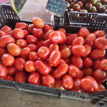 Thera Farms - Farmers Market Near Me - Brentwood, New York Thera Farms - Farmers Market Near Me - Brentwood, New York