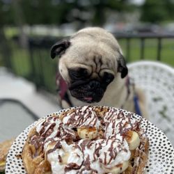 The Greenhouse Cafe - Chunky monkey waffle