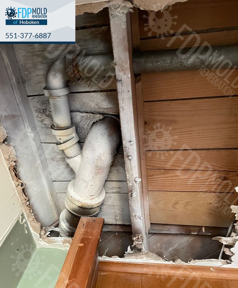 FDP Mold Remediation - mold inspector in Hoboken, NJ