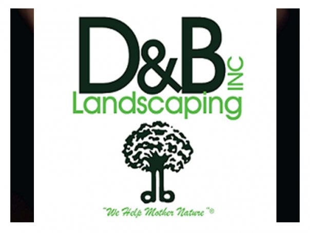 D&B Landscaping - tree service in Livonia, MI