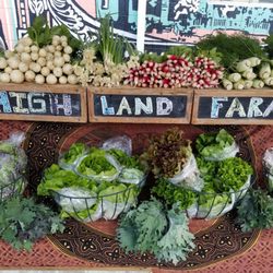 Blacksburg Farmers Market - Fresh produce