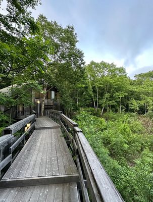 Rakuichi Soba by null