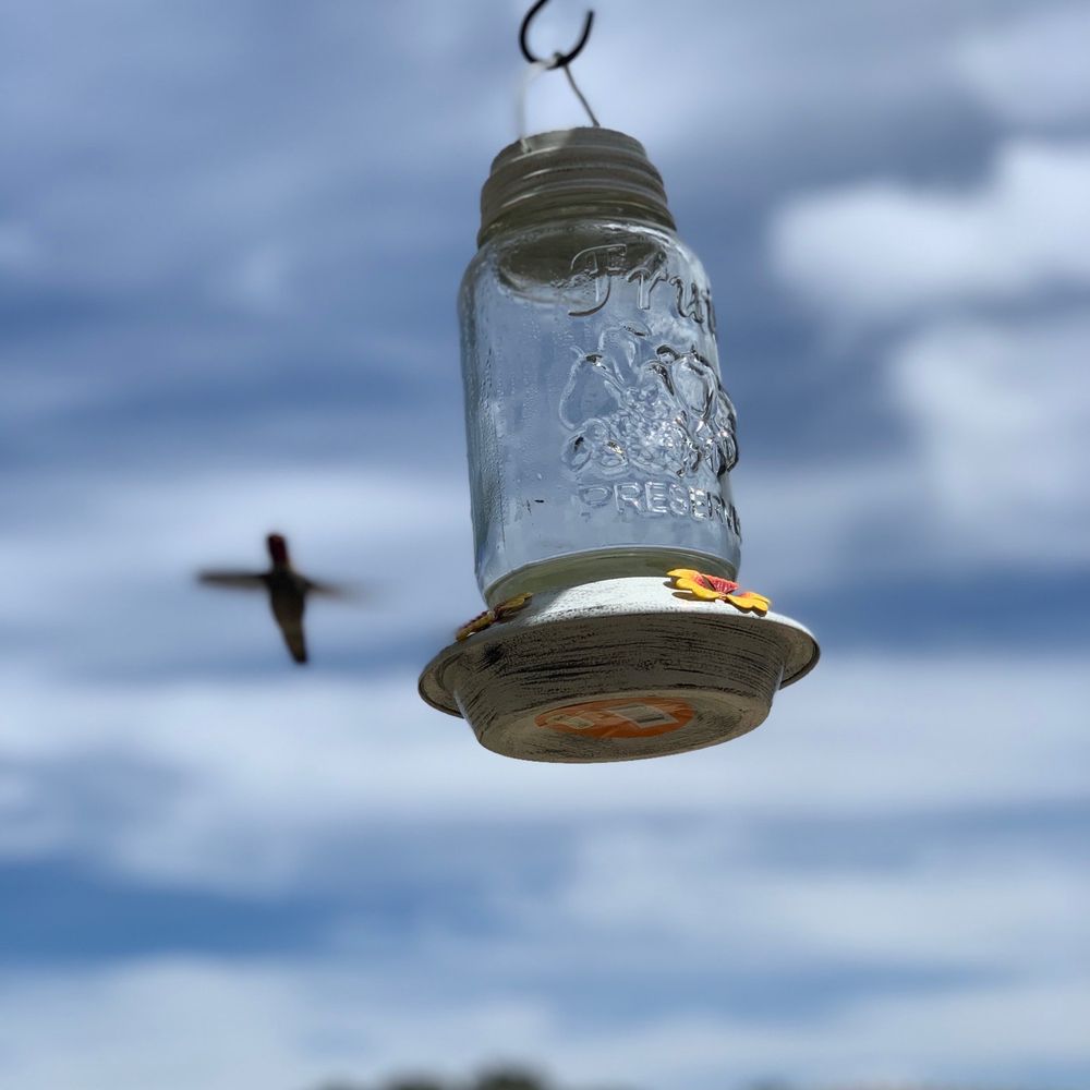 Kiamie Wine Cellars - Hi bird hi!!! - Wineries Near Me - Paso Robles, California Kiamie Wine Cellars - Hi bird hi!!! - Wineries Near Me - Paso Robles, California
