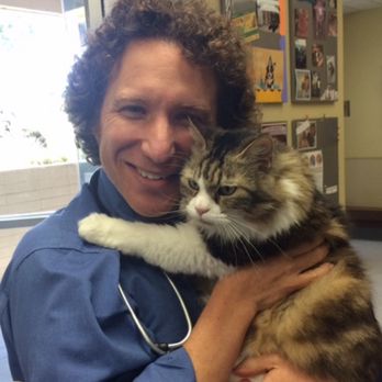 Gary Richter, DVM - America's Favorite Veterinarian cuddlying with his hospital cat, Stella. - Veterinarians Near Me - Oakland, California Gary Richter, DVM - America's Favorite Veterinarian cuddlying with his hospital cat, Stella. - Veterinarians Near Me - Oakland, California