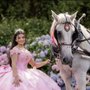 Ponies Will Travel