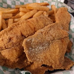 Tilapia