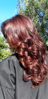 The Fringe Salon by null