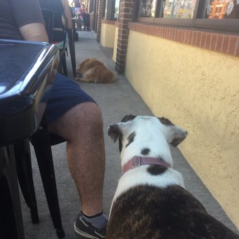 Coal Creek Tap - Dog friendly cafe - Breweries Near Me - Laramie, Wyoming Coal Creek Tap - Dog friendly cafe - Breweries Near Me - Laramie, Wyoming