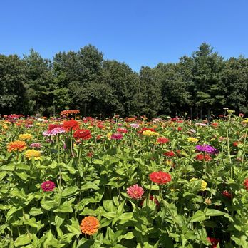 Parlee Farms - Farmers Market Near Me - Tyngsboro, Massachusetts