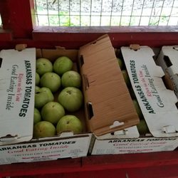 Fruit of the Vine Market - Arkansas farm grown green tomatoes.