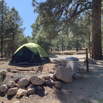 Flagstaff KOA - A tent area at the Koa - RV Parks Near Me - Flagstaff, Arizona